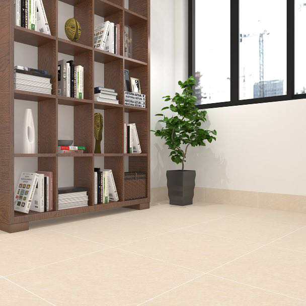 Gạch Đồng Tâm 6060BINHTHUAN001