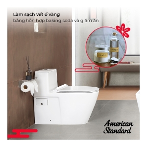 Bồn cầu 1 khối American