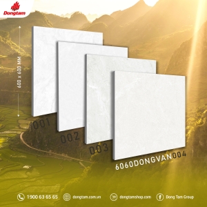 Gạch 60cm x 60cm