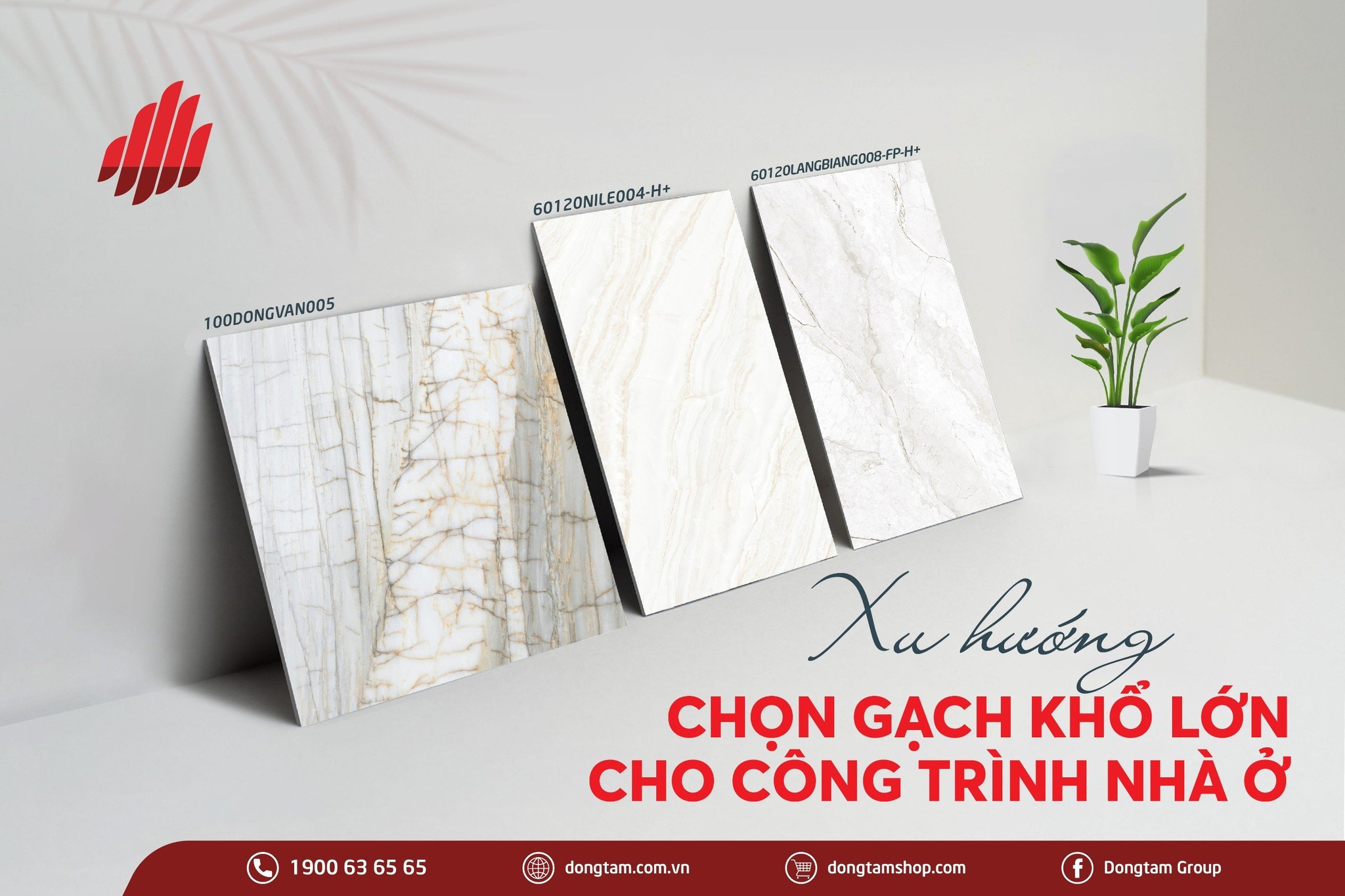 gach dong tam 