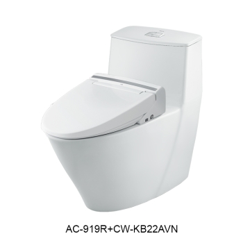 Bồn cầu nắp rửa điện tử INAX AC-919R + CW-KB22AVN
