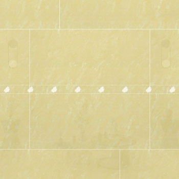 GẠCH ĐỒNG TÂM 8080DB100