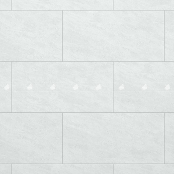 Gạch Đồng Tâm 4080GECKO003