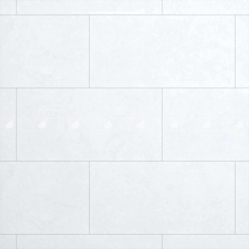 Gạch Đồng Tâm 4080FAME005-H+