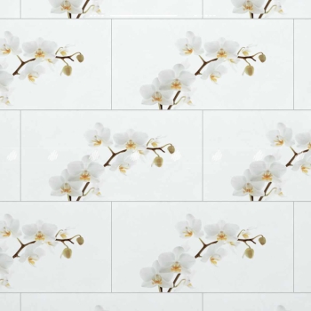 Gạch Đồng Tâm D4080ORCHID001-H+