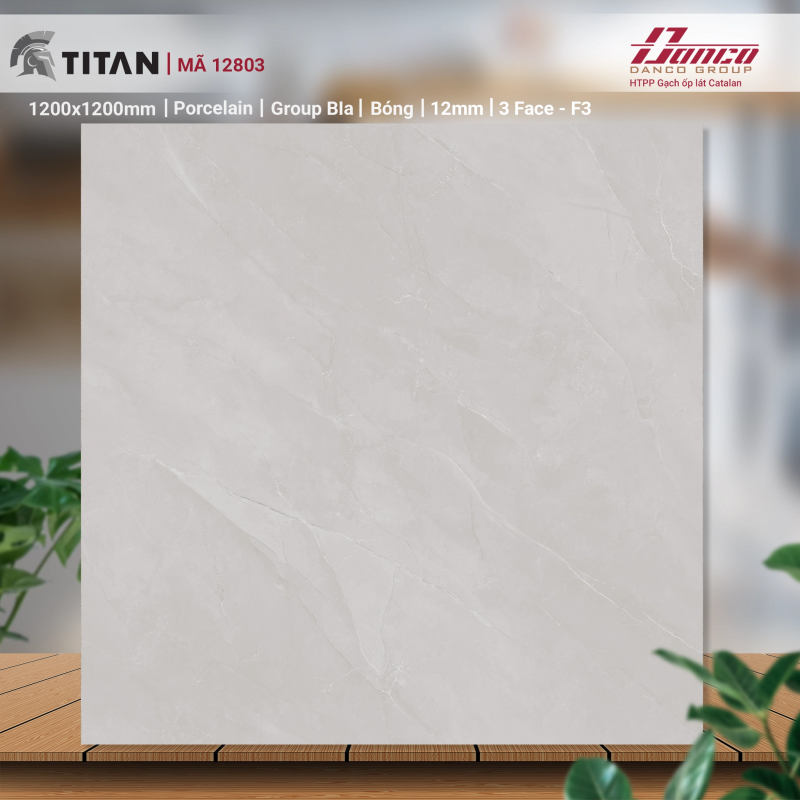 Gạch 1200 x 1200 (mm) Catalan - 12803