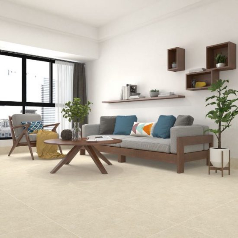 Gạch Đồng Tâm 6060BINHTHUAN002