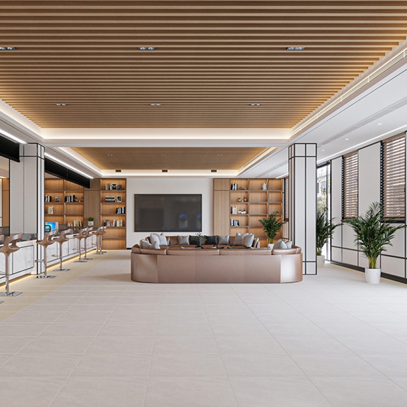 Gạch Đồng Tâm 6060TAMDAO001