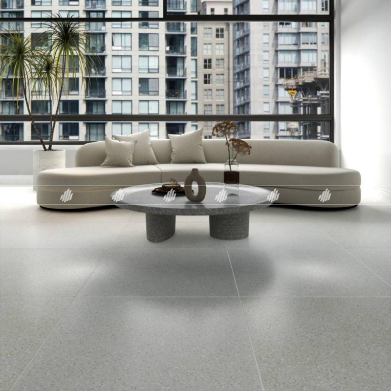 GẠCH ĐỒNG TÂM 8080ROME005-H+