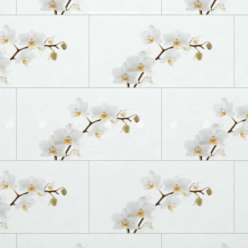 Gạch Đồng Tâm D4080ORCHID001-H+